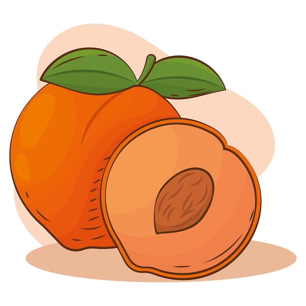 Isolated peach color sketch vector illustation