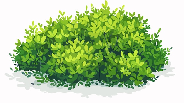 Vector isometric green bush icon in trimmed garden