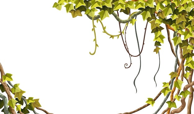 Ivy frame. Liana branches and tropical leaves.