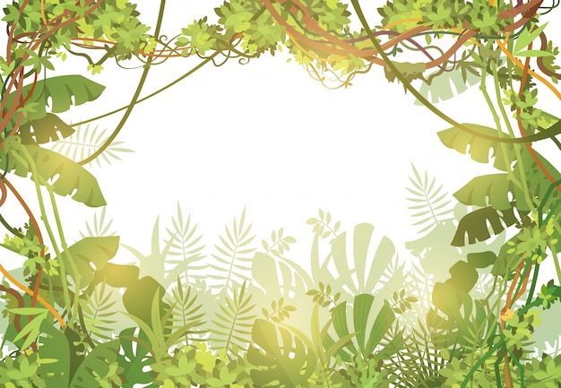 Vector jungle tropical frame background. rainforest with tropic leaves and liana vines. nature landscape with tropical trees. vector illustration