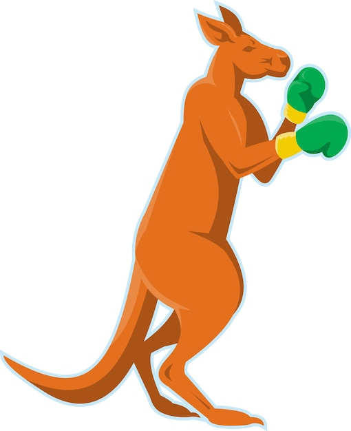 Vector kangaroo boxer boxing retro