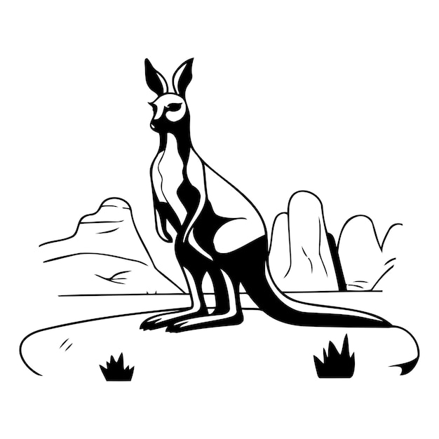 Kangaroo in the desert Vector illustration in cartoon style