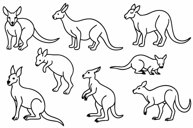 Vector kangaroo line art