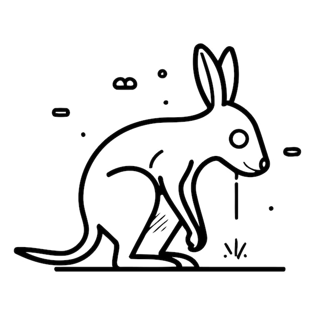 Kangaroo line icon Vector illustration of kangaroo