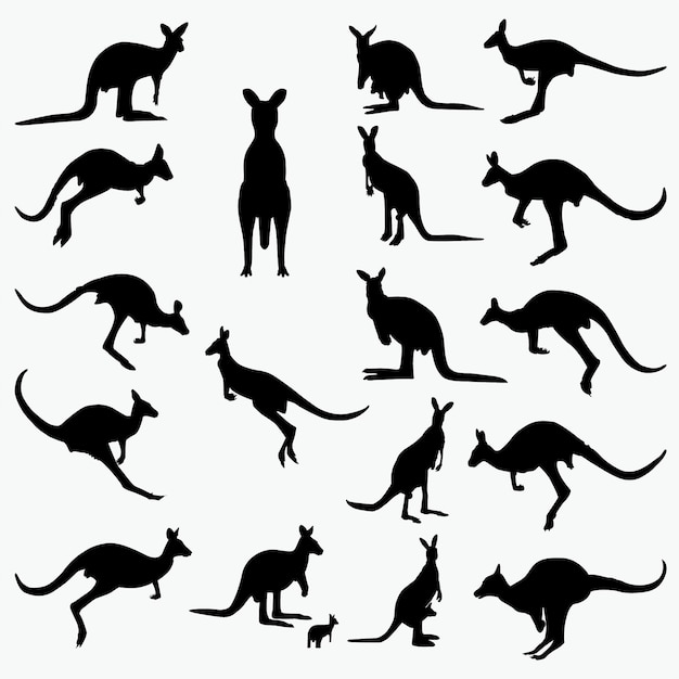 Vector kangaroo silhouettes