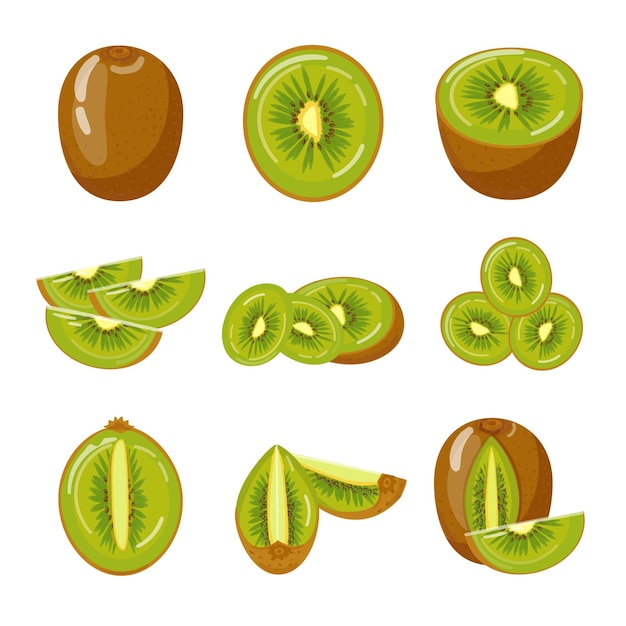 Kiwi icons set cartoon vector Fruit cultivation