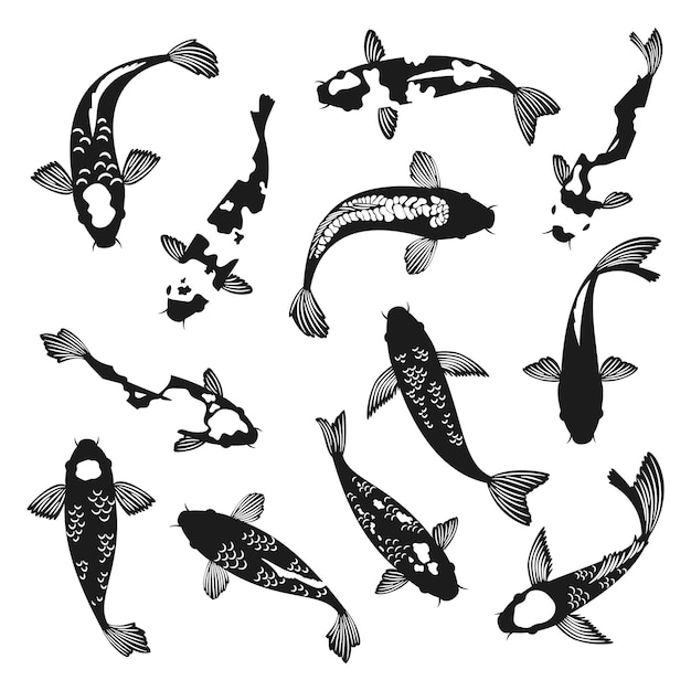 Koi fish silhouettes.