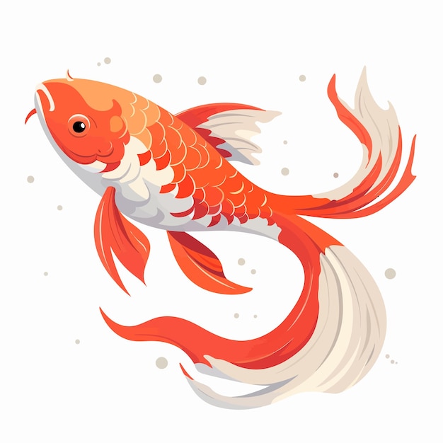 koi fish