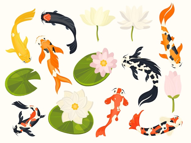 Vector koi-vissen en lotus exotische aziatische waterdieren zwemmen in een lotusbloemvijver traditioneel chinees