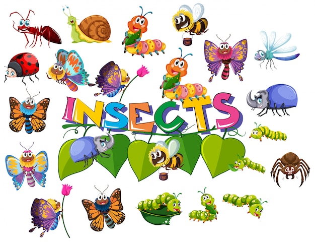 Large insect pack set