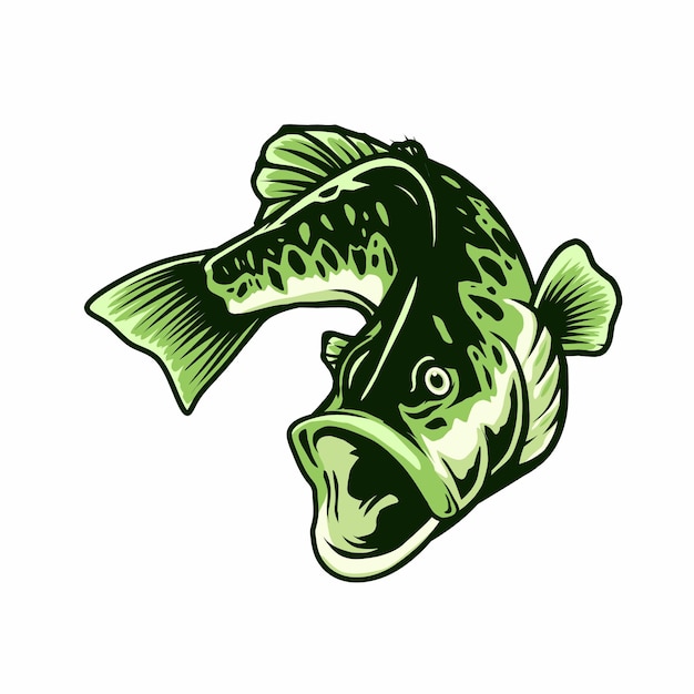 largemouth bass fish illustration