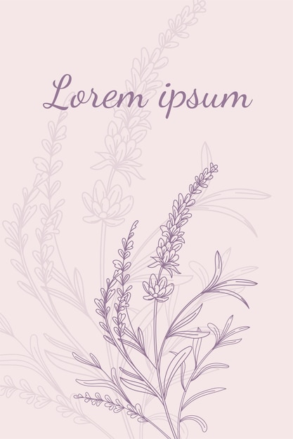 Vector lavender flowers floral background vector