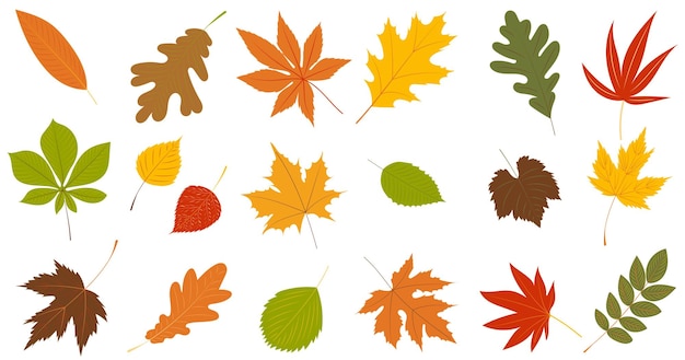 Leaves autumn set collection in flat design set isolated