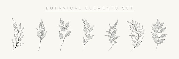 Leaves branches collection Botanical elements hand drawn leaves silhouettes Vector EPS 10