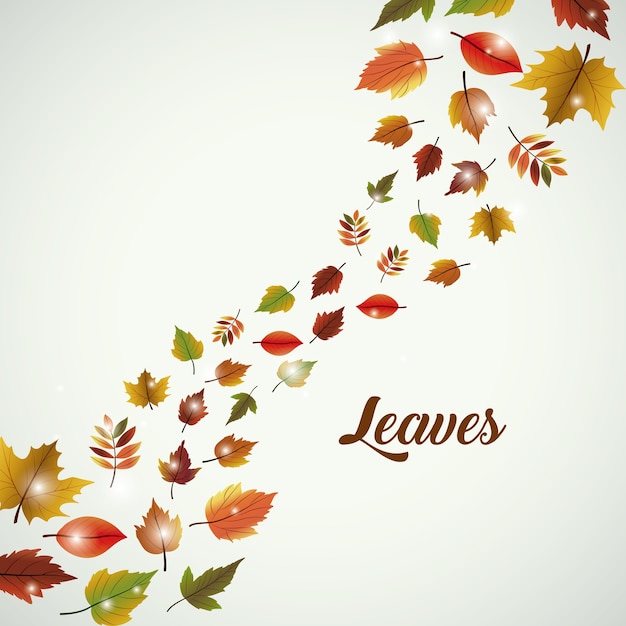 Leaves icon. Autumn season floral garden and nature theme. Colorful design. Vector illustration