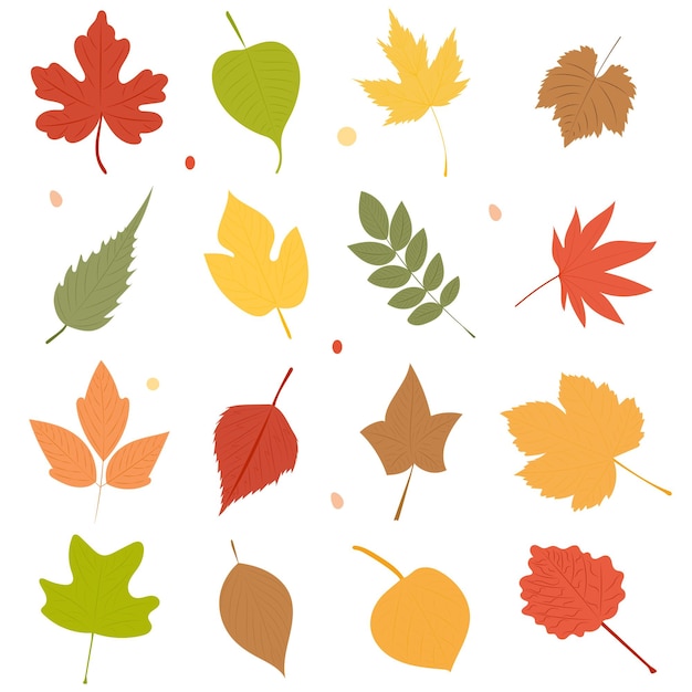 Vector leaves set silhouette isolated vector