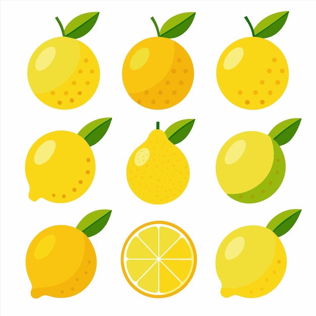 Vector lemons are displayed with a lemon and lemon on the bottom