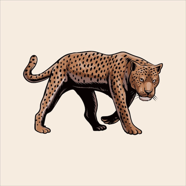 Vector leopard