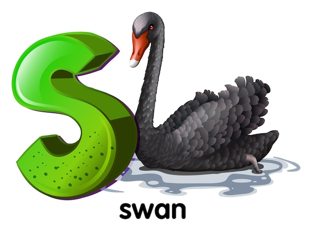 A letter S for swan