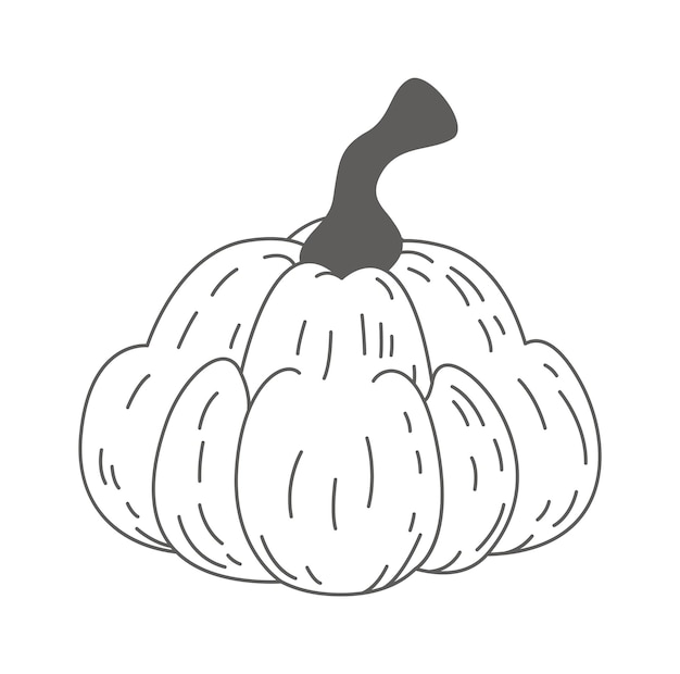 Linear Pumpkin Vegetable