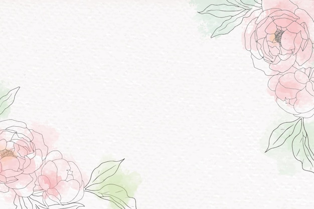 Loose watercolor doodle line art peony flower bouquet frame minimal banner background