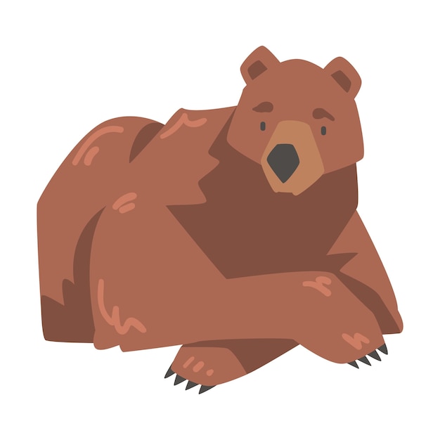 Vector lying brown bear large wild predator mammal animal cartoon vector illustration