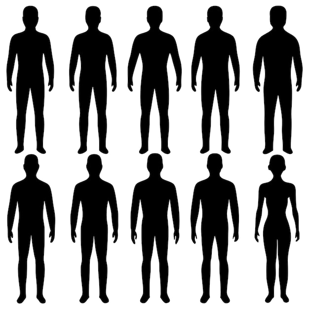 Vector manbody set silhouette vector illustration