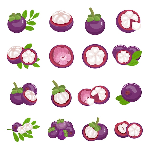 Mangosteen icons set cartoon vector Purple fruit