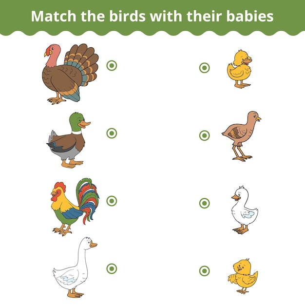 Matching educational game for children Match cute farm birds and babies Color cartoon collection