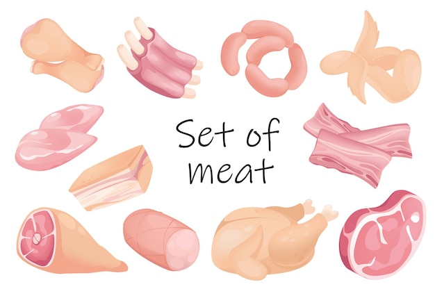 Meat products elements isolated set. Bundle of chicken, pork, beef, steak, sausage, bacon, wings, ham, ribs and other. Assortment of the butcher shop. Vector illustration in flat cartoon design