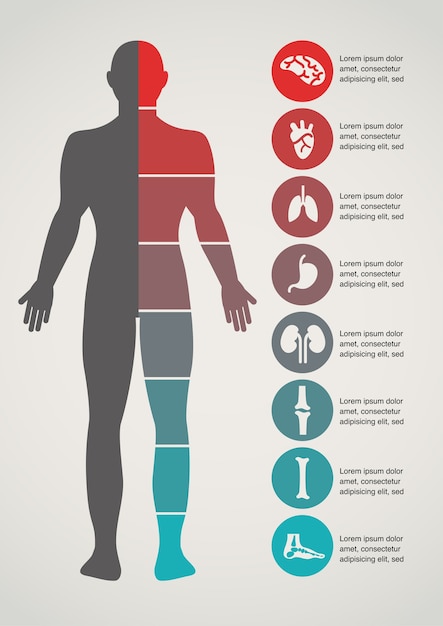 Vector medical and healthcare background