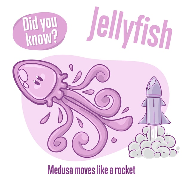 Medusa Interesting facts about jellyfish Did you know