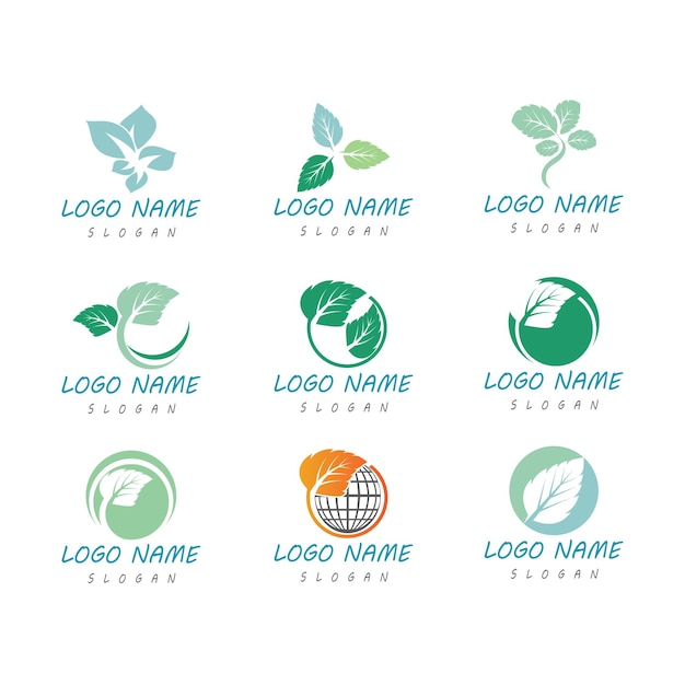 Vector mint leaves flat vector color icon template illustration design
