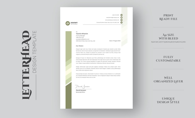 Vector modern company letterhead design template