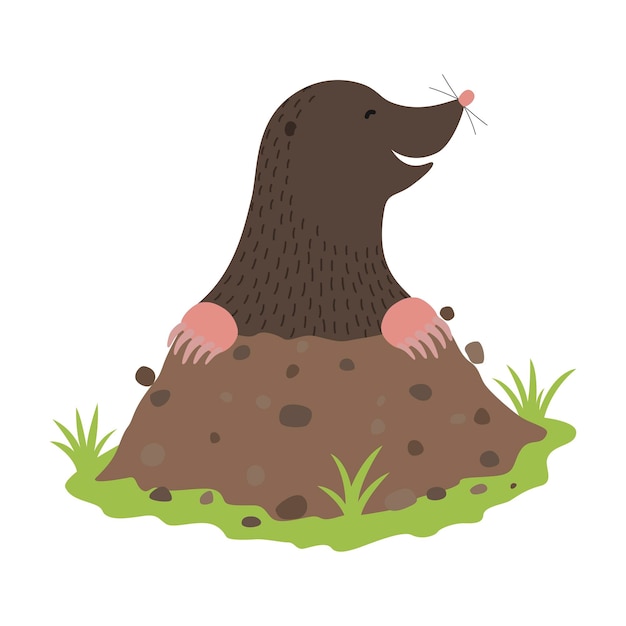 Vector mole digging out of the dirt animal cartoon character