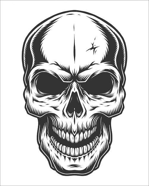 Monochrome illustration of skull