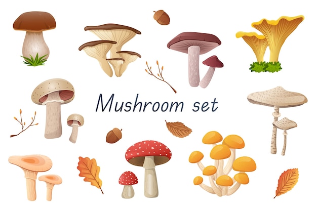 Mushrooms 3d realistic set Vector illustration isolated elements