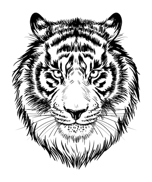 Muzzle portrait of a tiger  black and white graphic print poster vector illustration