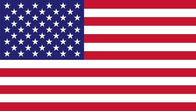 Vector national flag of united states