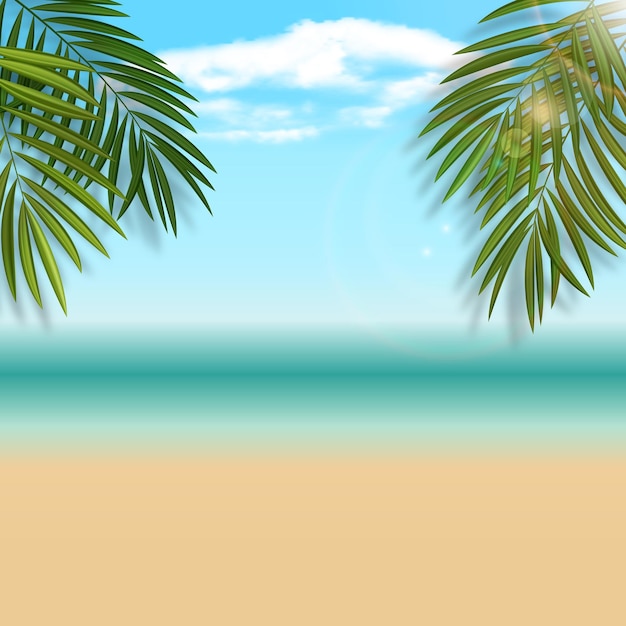 Natural summer beach background with palm leaves Vector Illustration