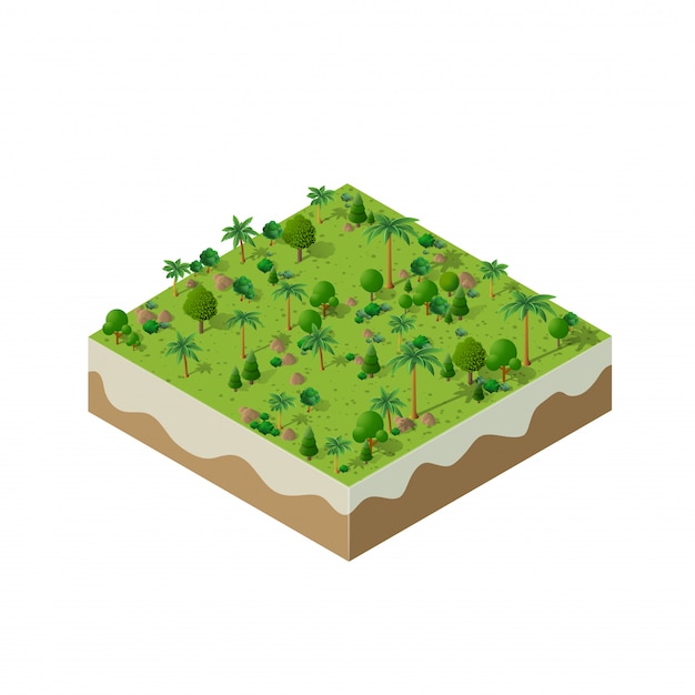 Vector nature forest landscape