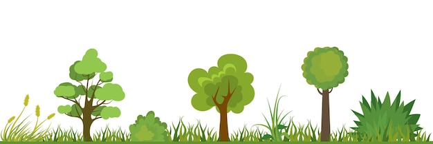 Vector nature landscape trees shrubs flowers and grass vector illustration