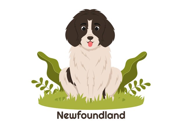 Vector newfoundland dog animals with black brown or landseer color in flat style cartoon illustration