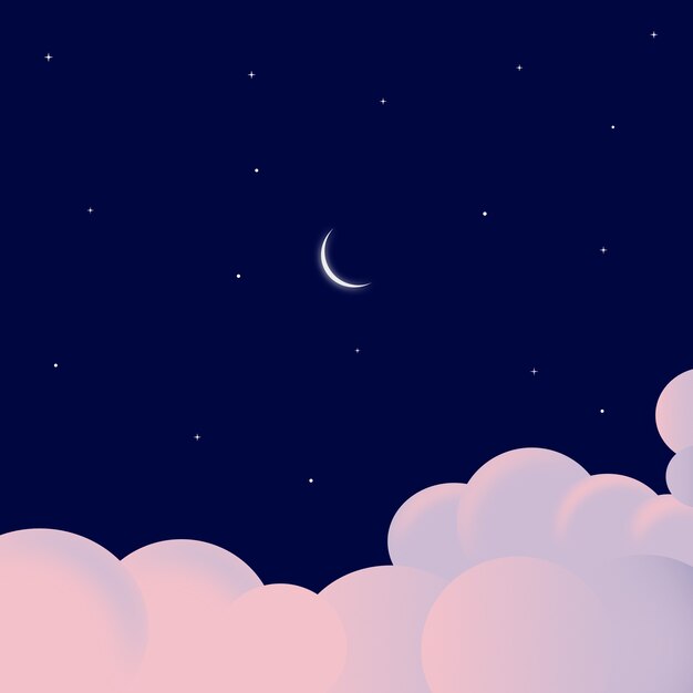 Vector night sky