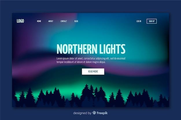 Vector northern lights landing page