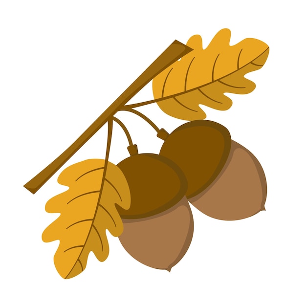 Oak acorn with yellow leaves in flat style. Vector image.