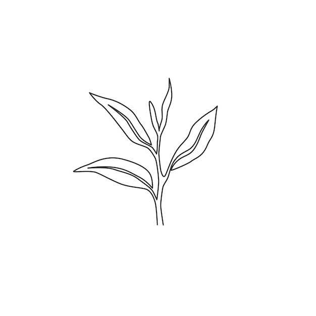 Vector one continuous line drawing of healthy organic tea leaf for herbal drink fresh nature icon vector