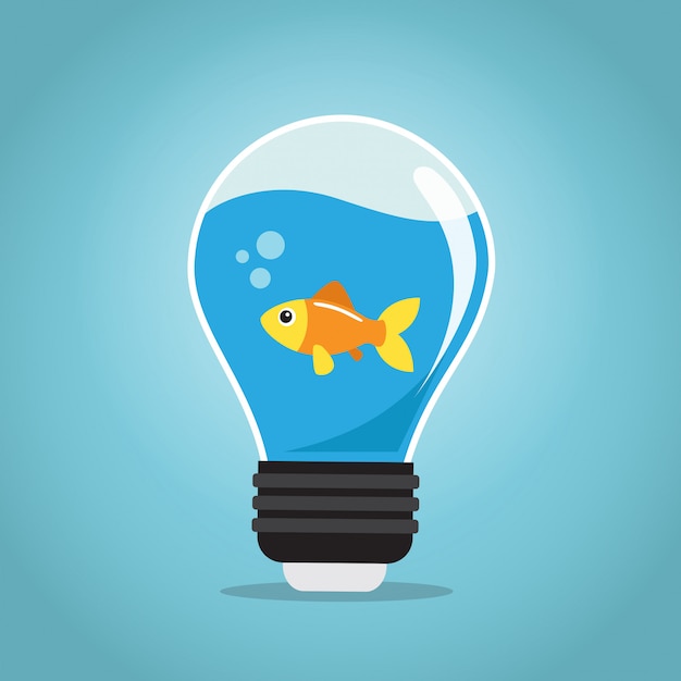 One golden fish swimming in the water of a bulb