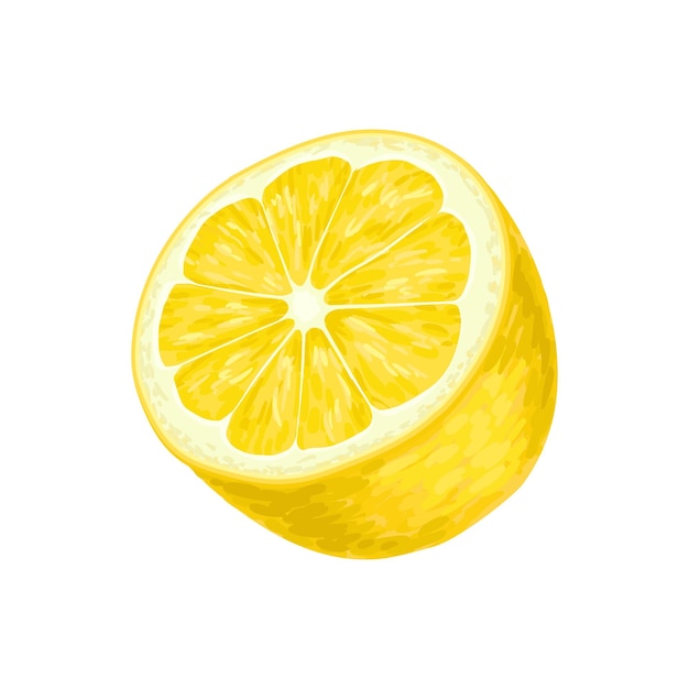 One half of bright yellow lemon Juicy citrus fruit Natural and healthy food Sweet product Package design element for candy tea or juice box Detailed vector icon