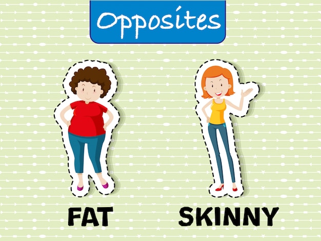 Opposite words for fat and skinny